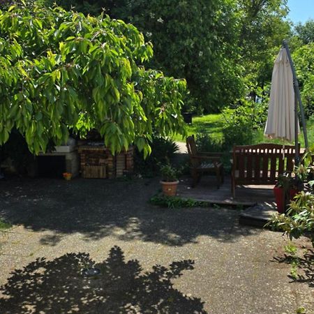 Appartement Avec Jardin A Colmar Kültér fotó