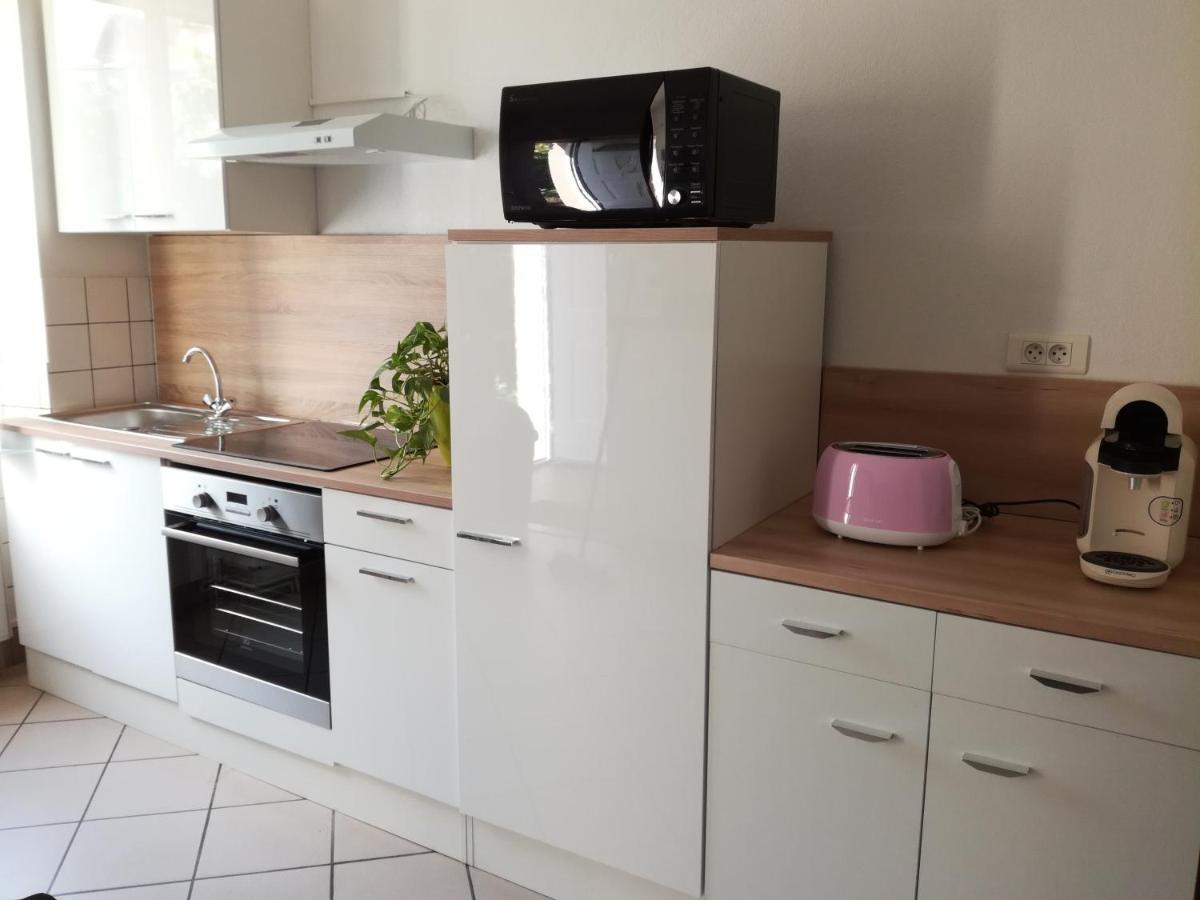 Appartement Avec Jardin A Colmar Kültér fotó